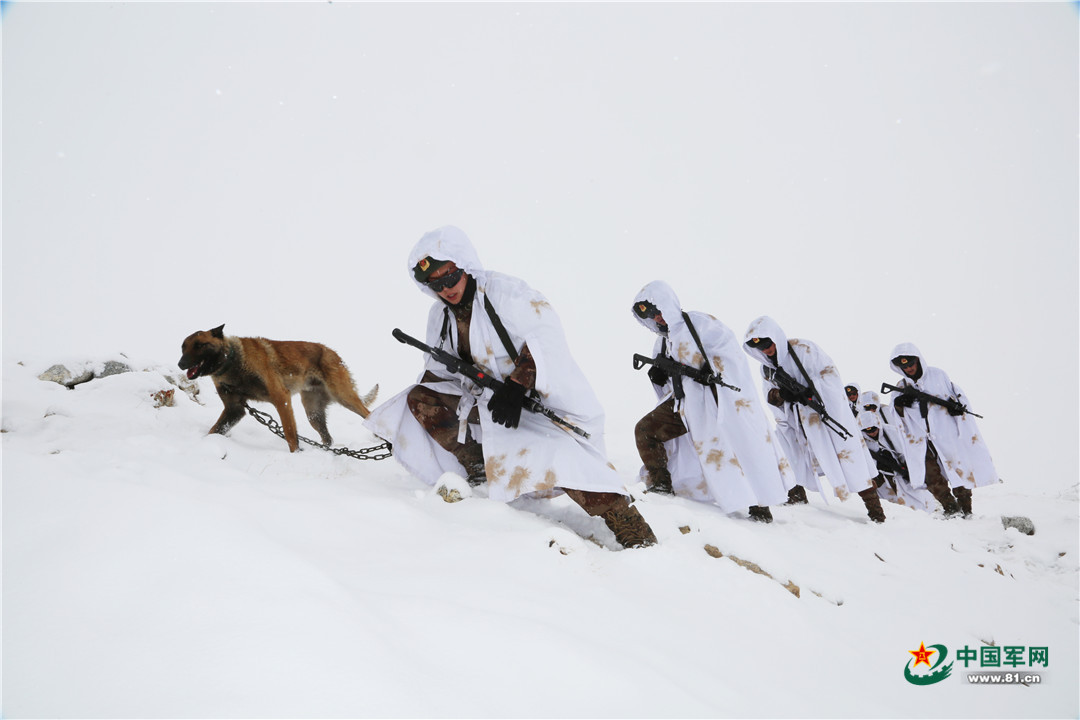 戍边之苦:山地师克星 风雪 缺氧 海拔5300米 他们在巡逻路上(图)
