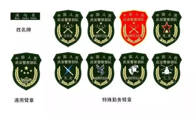 三军仪仗队肩章说明图片
