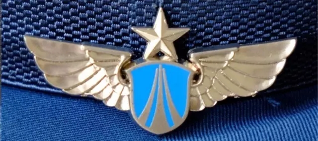 新胸标里有秘密,大国空军就是这个范儿! - 中国军网