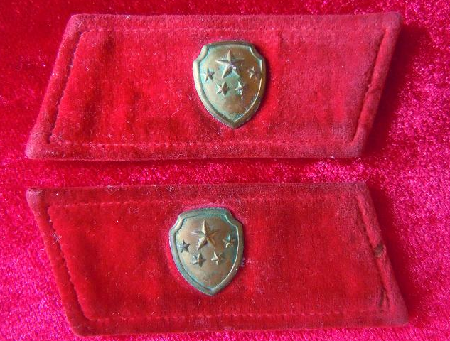 带金盾标志的绒面领章