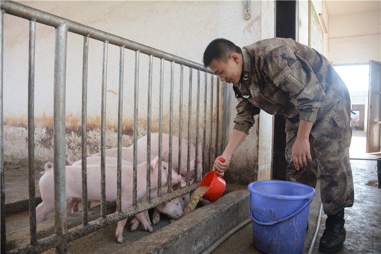 来看看不同岗位上的战士怎么在军营过春节