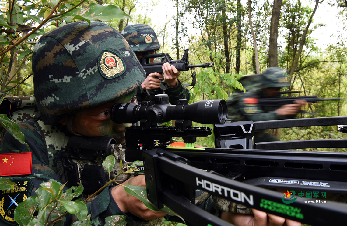 特战队员在弓弩手的掩护下快速突入.