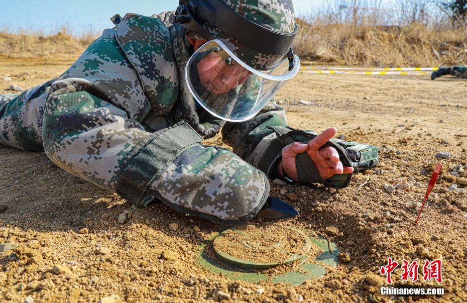 海军陆战队某旅破障连进行扫雷训练