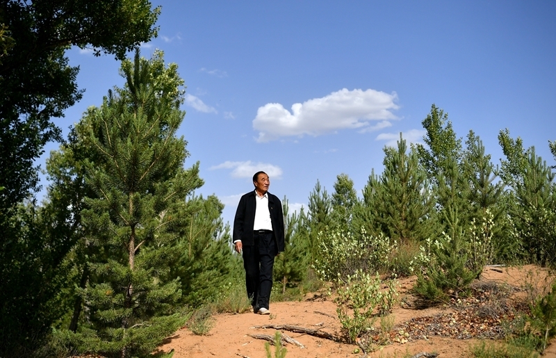 今天,中南海新华门内的影壁上,"为人民服务"五个大字金光闪闪,熠熠
