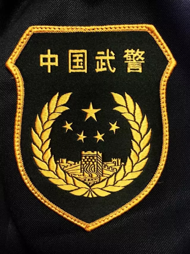 全国武警官兵明天起全面佩戴新式标志,服饰