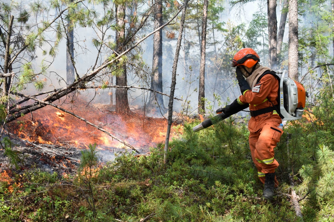 应急管理部:金河火场外线明火已全部扑灭