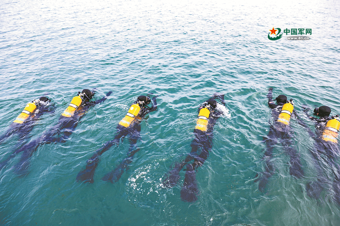 潜行水下砥砺虎胆 北部战区海军某基地开展防险救生训练掠影
