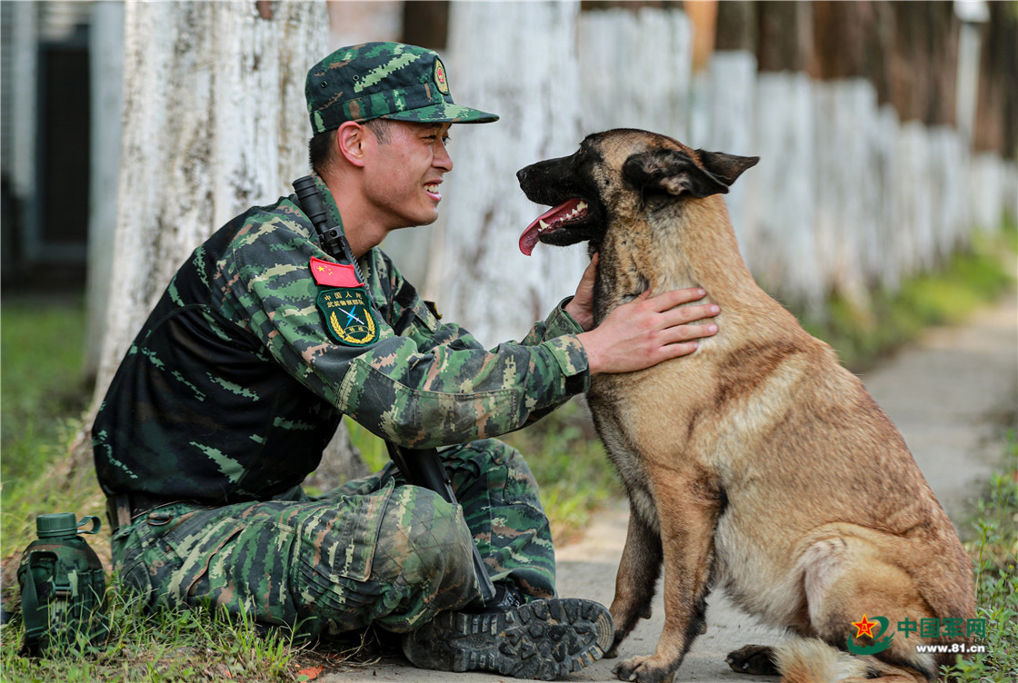 战士们正在给军犬阿逸补充水分战士黄崎龙与军犬阿逸一起通过低姿网