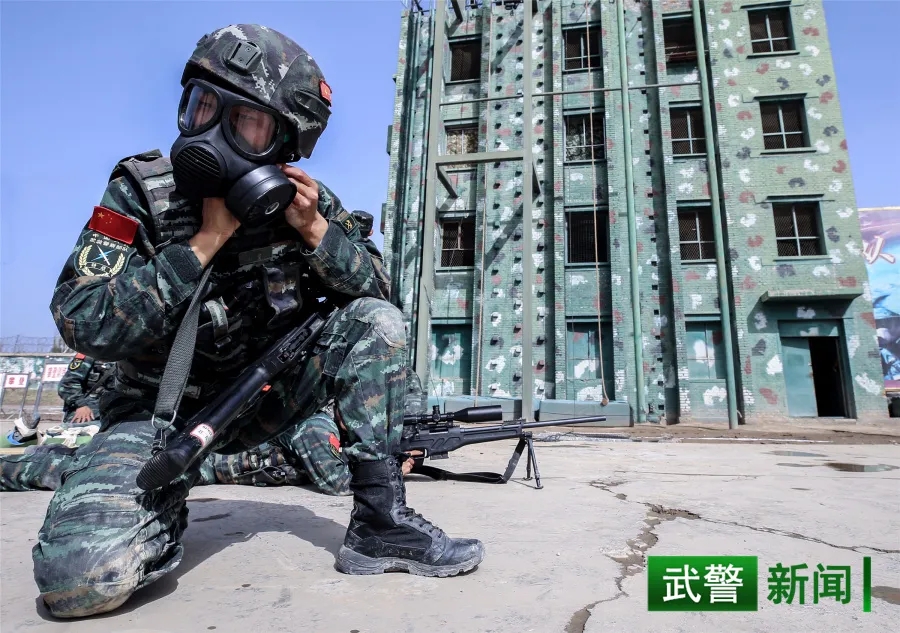 鏖战巅峰!武警特战队员侦察比武掠影