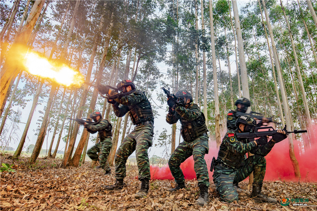密林浅滩直击武警特战队员极限训练现场