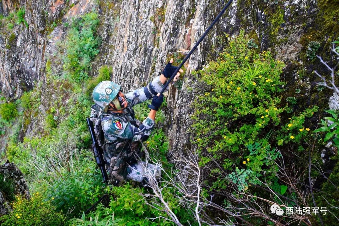 "魔鬼周"只是开始,"猎豹"之路还需千锤百炼