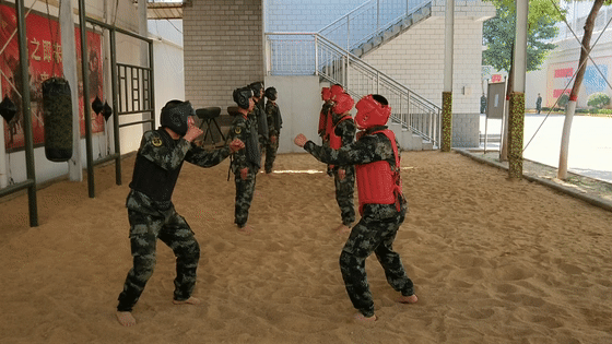 560_315gif 动态图 动图