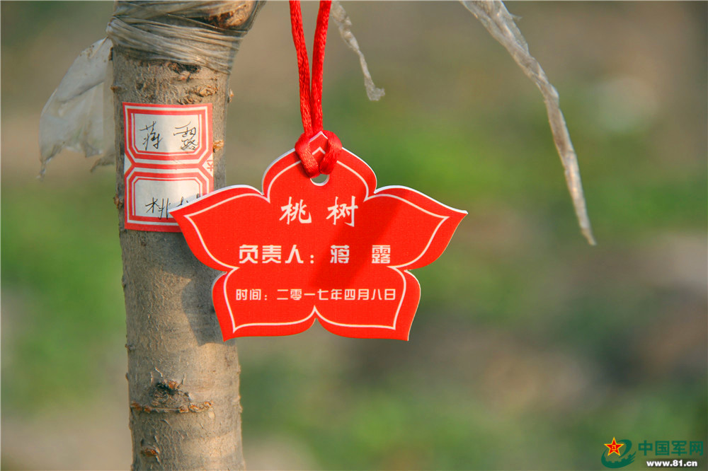不看不知道,原来兵哥哥种树的标准这么高 - 中国军网