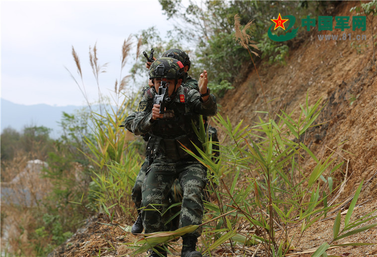 热带丛林上演"真追捕",他们在逼真战场锻造"战狼"!