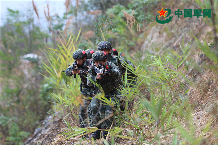热带丛林上演"真追捕",他们在逼真战场锻造"战狼"!