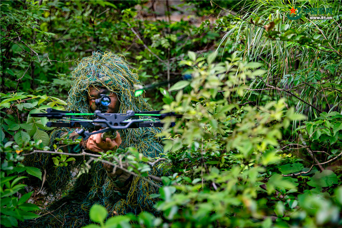 密林隐者!看狙击小组伪装潜伏砥砺尖刀