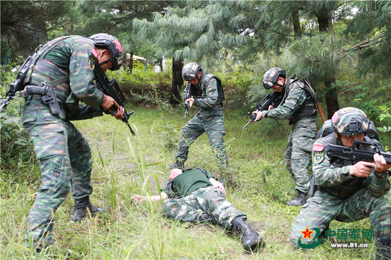 魔鬼周丨直击武警山林地捕歼演练 锤炼打赢本领 - 中国军网