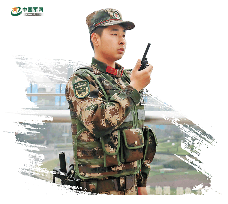 这一个个挺拔的橄榄绿可曾成为你镜头的焦点