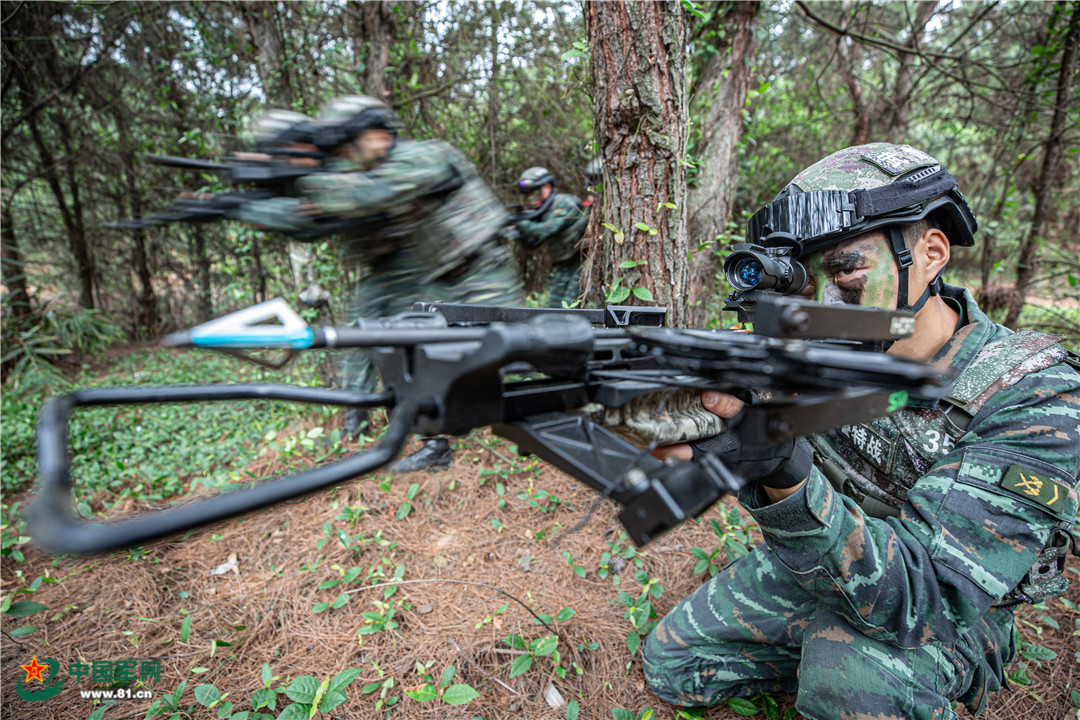 密林出击|特战队员野外训练现场直击 - 中国军网