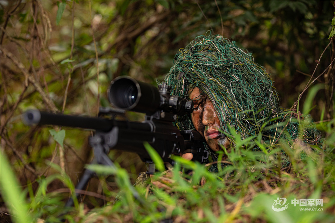 围观狙击手训练,看他们如何"一击制胜"!