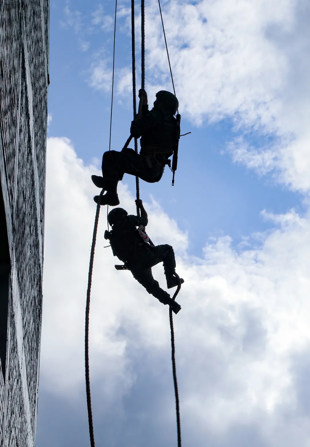 这组剪影定格特战队员最帅的姿态