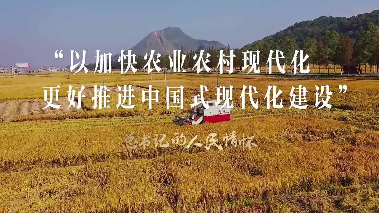 总书记的人民情怀丨“以加快农业农村现代化更好推进中国式现代化建设”